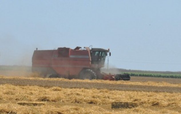 România a oferit peste 100 de tone de grâu agricultorilor moldoveni